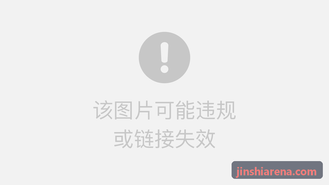 金狮入口多模态特征工程解析